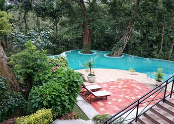 The Wildflower Resort The Wildflower Resort: Pool unter Bäumen