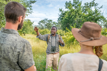 Time + Tide South Luangwa Time + Tide South Luangwa: Walking Safari