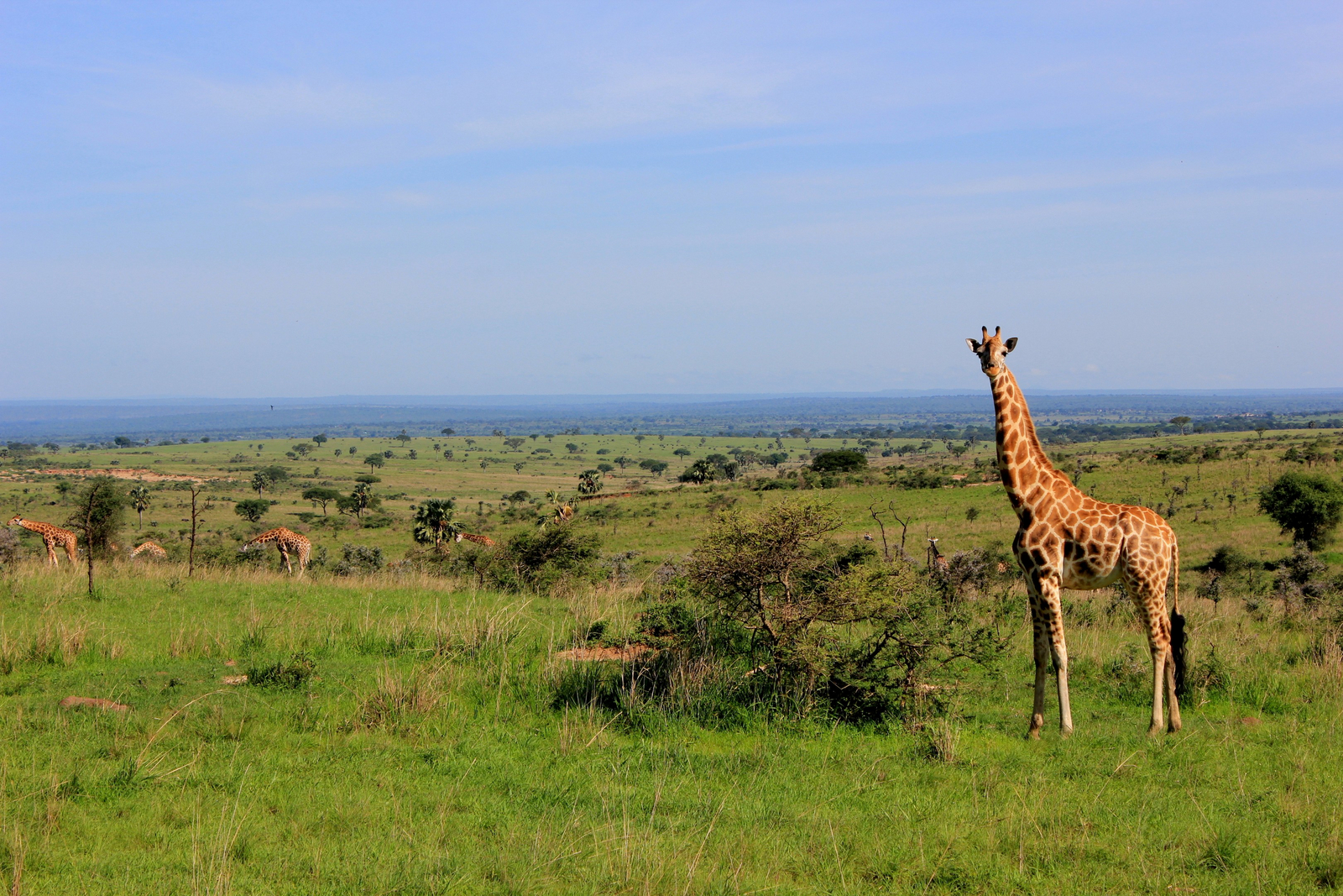 Murchison River Lodge Murchison River Lodge