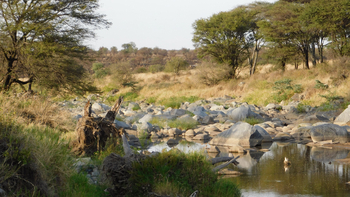 Wayo Little Green Camp: Bachlauf