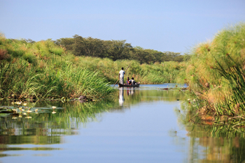 Zambezi Mubala Lodge: In der Uferzone