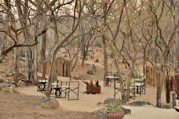 Amalinda Lodge: Homestead