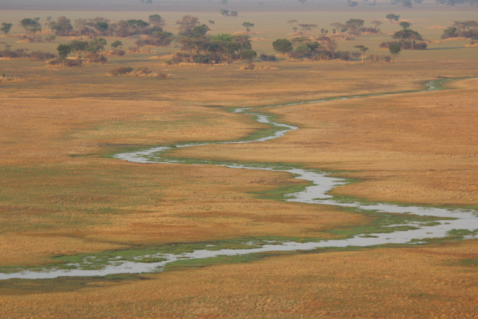 Ballonfahrt Busanga Plains Ballonfahrt Busanga Plains