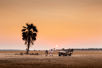 Old Mondoro Camp: Palme und Sonnenuntergang
