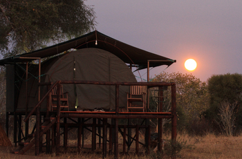 Jozibanini Camp Jozibanini Camp: Morgensonne