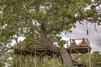 Kuro Tarangire Camp: Sausage Tree