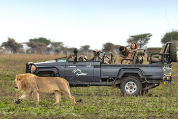 Legendary Nyasi Tented Camp: Game Drive