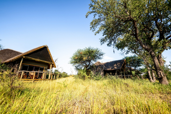 Mangwane Hideaway: Standard Chalet