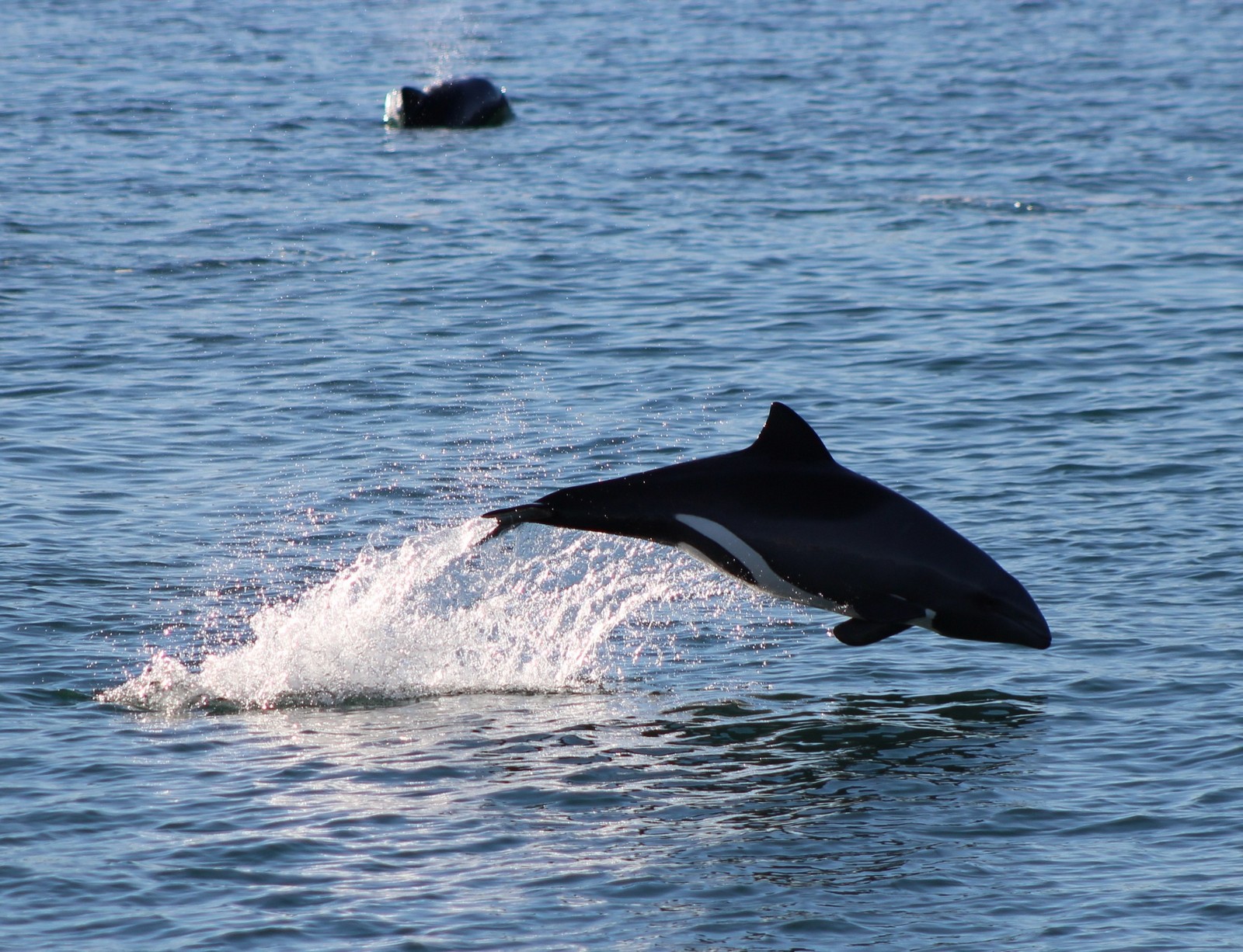 Lüderitz Nest Hotel Lüderitz Nest Hotel