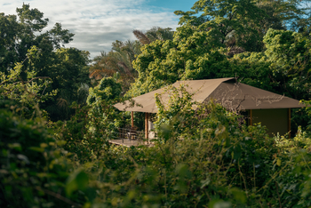 Rhino River Camp: Zelt im Wald