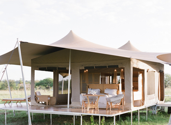 Roving Bushtops Camp: Standardzelt - Veranda