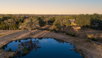 Sabi Sabi Bush Lodge: Wasserloch in der goldenen Savannenlandschaft