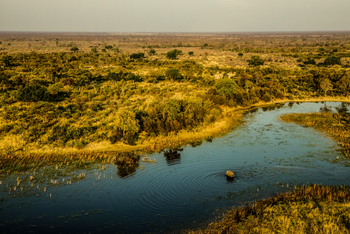 Selinda Explorers Camp Selinda Explorers Camp: Elefant im Spillway
