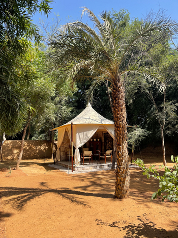 Sujan Sher Bagh: Gartenpavillon unter Palmen