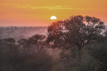Tanda Tula Safari Camp: Landschaft