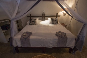 Track and Trail River Camp Track and Trail River Camp: Room 8