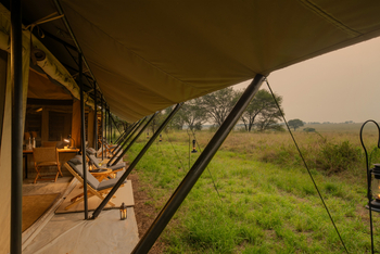 Ubuntu Migration Camp: Family Unit - Veranda