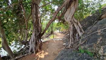 Brij Lakshman Sagar: Durchgang zu den Chalets