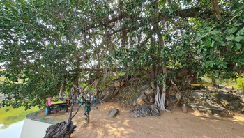Brij Lakshman Sagar: Terrasse am See