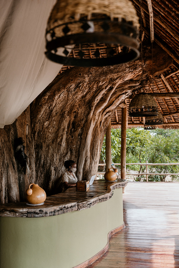 Elewana Tarangire Treetops: Rezeption