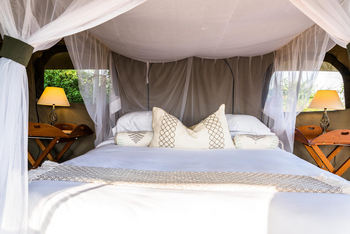 Honey Bear Bushcamp: Gästebett