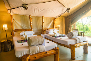 Ikoma Tented Camp: Bett mit Handtüchern und Blütenblättern
