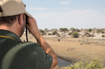 Leroo La Tau Lodge: Gästechalet - Zebras unterhalb vom Chalet