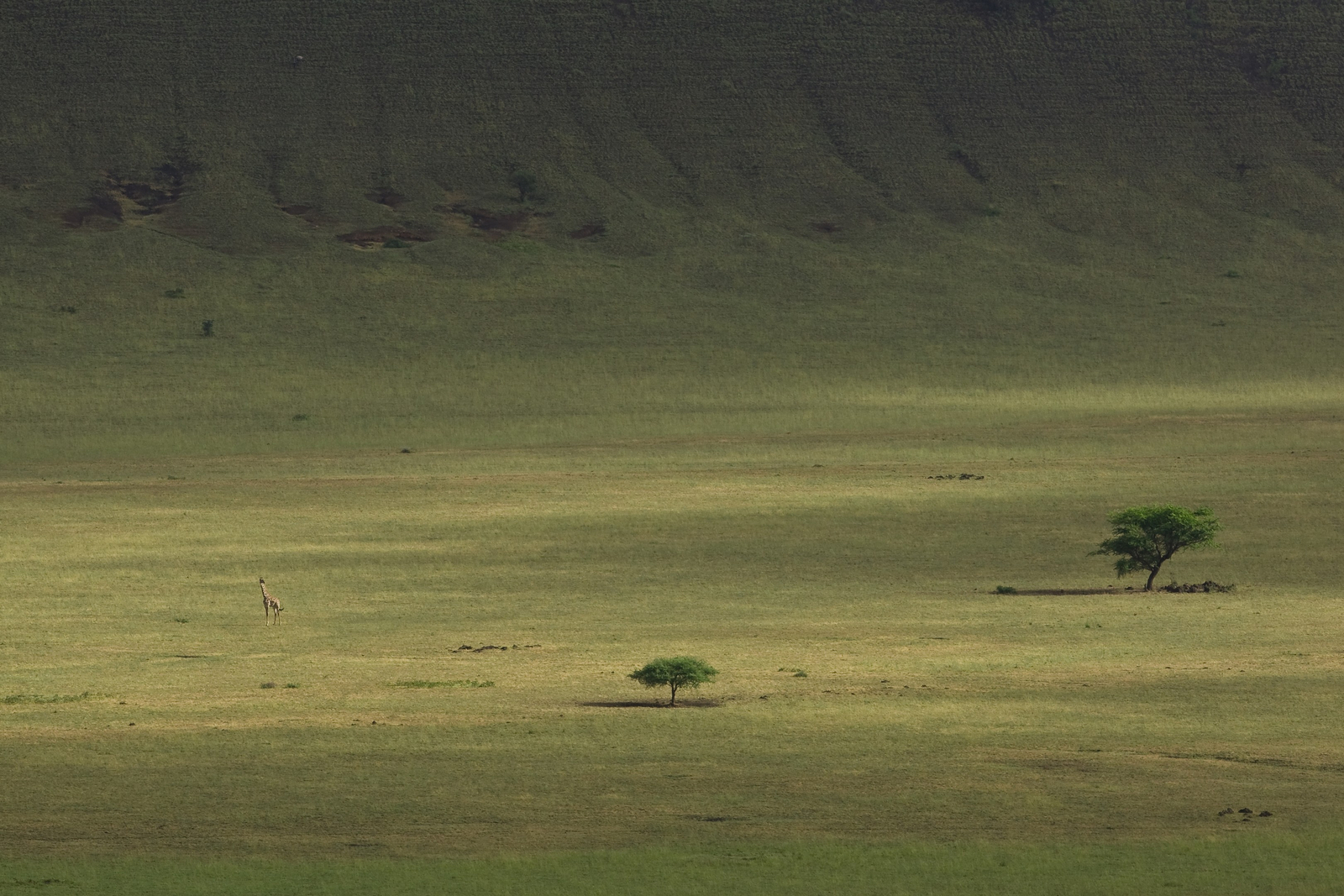 Ol Donyo Lodge Ol Donyo Lodge