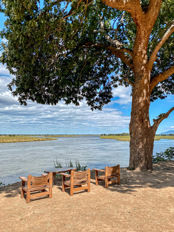 Potato Bush Camp: Sessel im Schatten