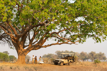 Puku Ridge Camp: Kaffeepause unter einem Baum