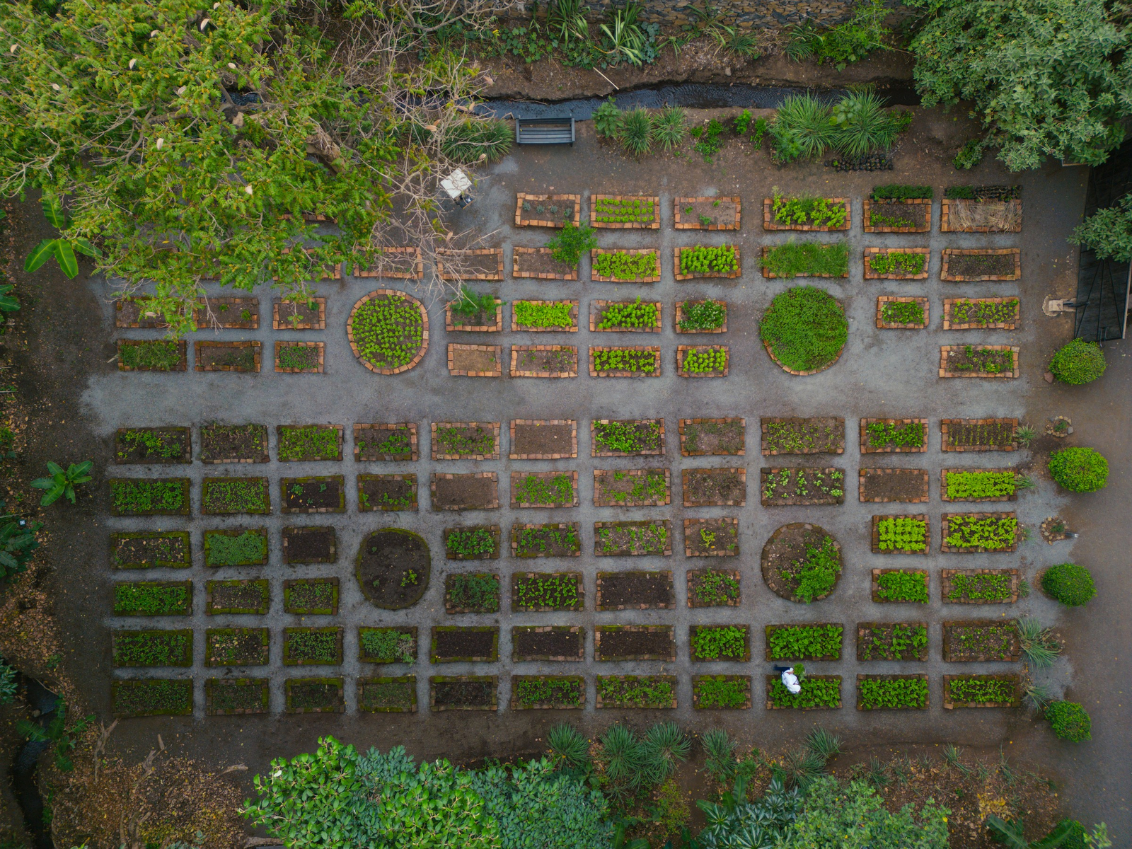 Rivertrees Country Inn Rivertrees Country Inn: Gemüsegarten