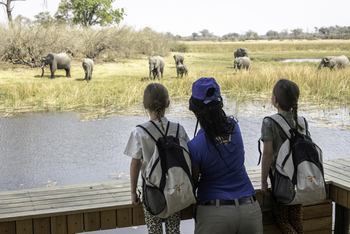 Savuti Camp Savuti Camp: Elefantensichtung