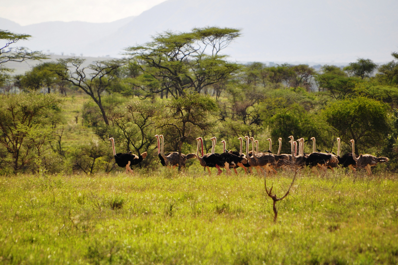 Kidepo National Park Kidepo National Park