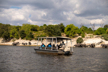 Ichingo Chobe River Lodge: River Safari
