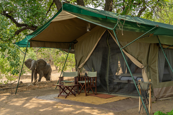 John's Camp John's Camp: Gästezelt - Außenansicht