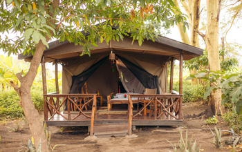 Migunga Tented Camp: Gemütliche Holzmöbel auf Canvas Veranda