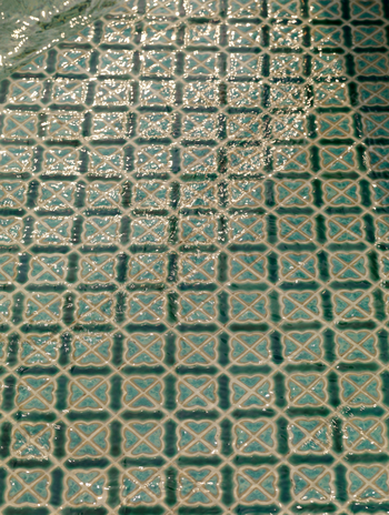 Rambagh Palace: Details