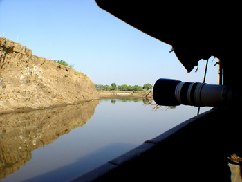Shenton Safaris: Carmine Bee-Eater Hide