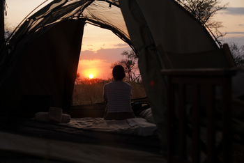 Wayo Walking Camp: Sonnenuntergang beobachten aus Campingzelt