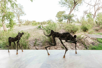 Cheetah Plains Mapogo House: Nochmehr Kunst