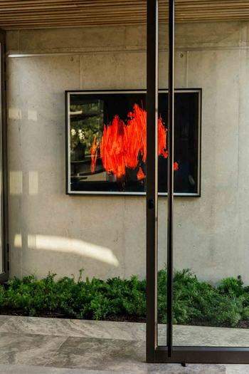 Cheetah Plains Mvula House: Kunst