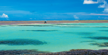 Cosmoledo Eco Camp: Flyfishing