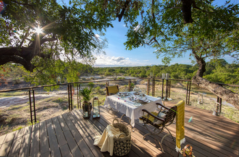 Dulini Leadwood: Treehouse Private Dinner
