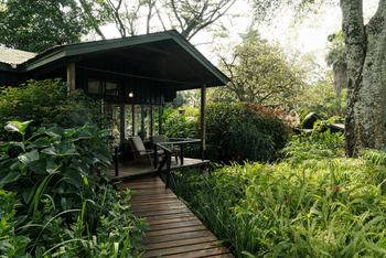 Gibb's Farm: Weg zum Gästezimmer