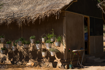 Koros Camp: Flower Pots