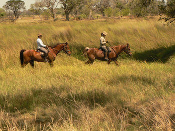 Kujwana Camp: Ritt durch Grasland