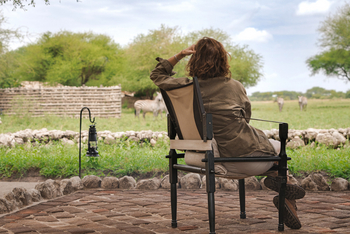 Little Chem Chem: Armchair Safari