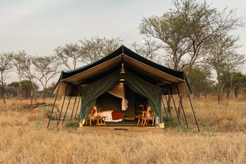 Little Moru Camp: Gästezelt