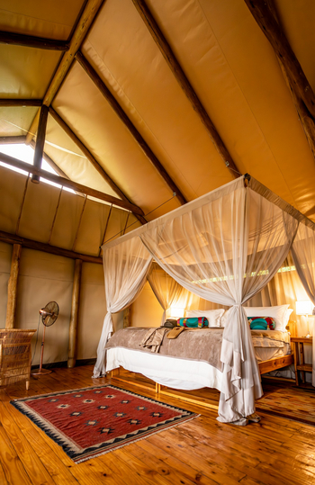 Mokolwane Camp: Leinwandzelt