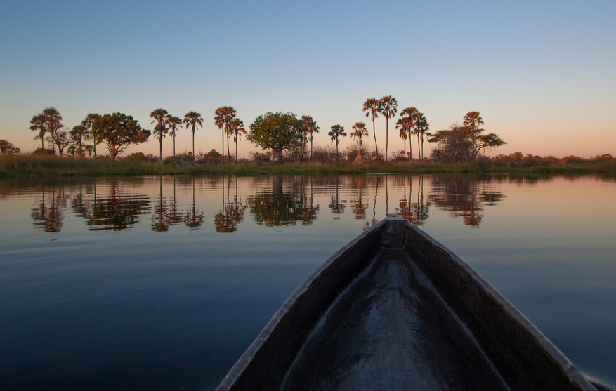 Moremi Crossing